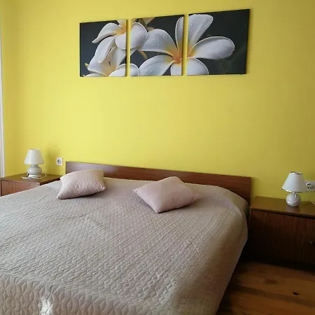 Giorgina Apartments Umag Exterior photo